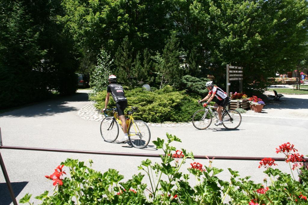 Camping Le Colporteur Hotel Le Bourg-dʼOisans Kültér fotó